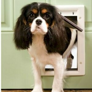 PetSafe Plastic Pet Door Small Dog Cat 1-15 LB New Open Box